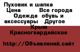 Пуховик и шапка  Adidas  › Цена ­ 100 - Все города Одежда, обувь и аксессуары » Другое   . Крым,Красногвардейское